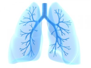 Allergies & Asthma Test